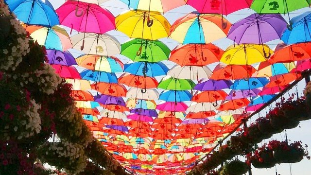 <p>
	<em>Снимка: www.pixabay.com</em></p>
