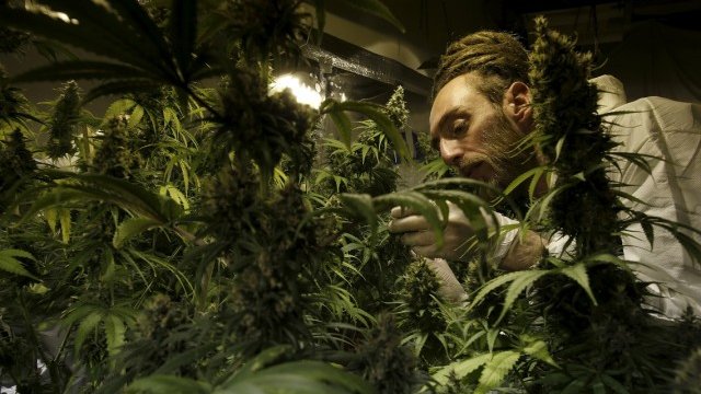 <p>
	<em>Снимка: архив Ройтерс</em></p>
