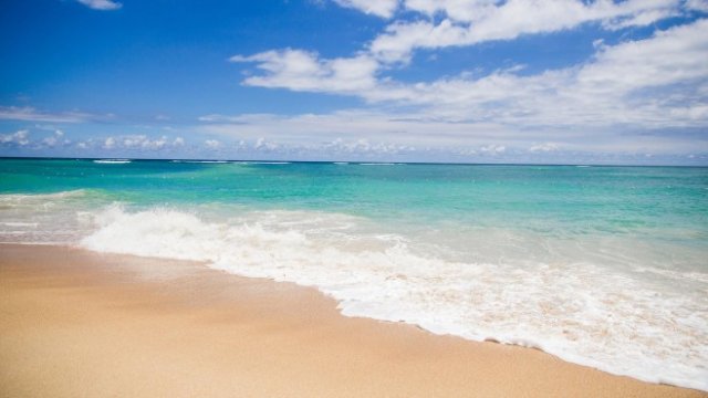 <p>
	<em>Снимка: Pixabay</em></p>
