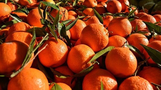 <p>
	<em>Снимка: Pixabay</em></p>
