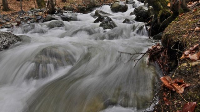 <p>
	<em>Снимка: Олег Попов, Investor Media Group</em></p>
