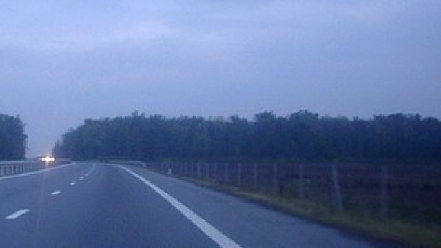 <p>
	<em>Снимка: FreeImages.com</em></p>
