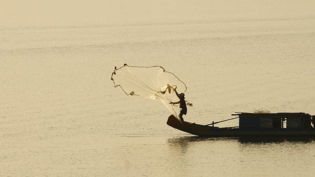 Снимка: Pixabay