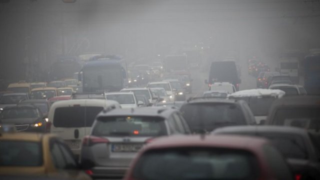 <p>
	<em>Снимка: Димитър Кьосемарлиев, Investor Media Group</em></p>
