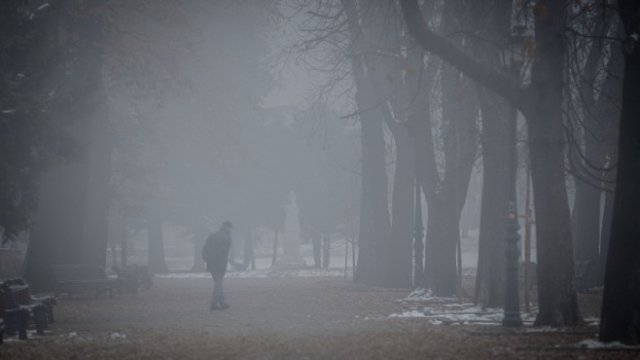 <p>
	<em font-size:="" pt="" style="color: rgb(102, 102, 102); font-family: ">Снимка: Димитър Кьосемарлиев, Investor Media Group</em></p>
