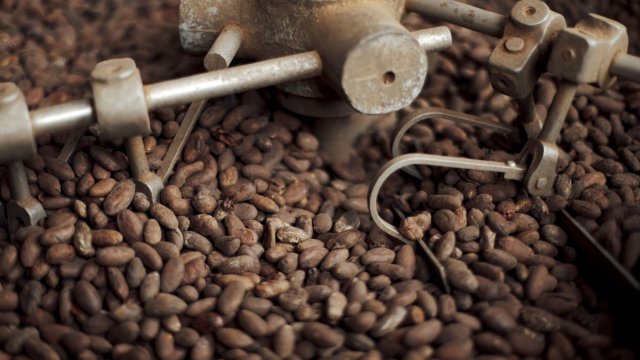 Снимка: Bloomberg LP