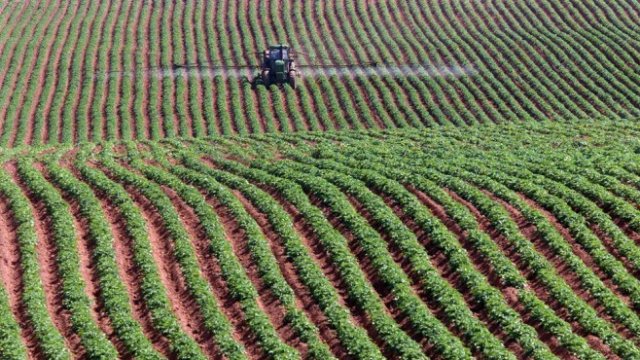 <p>
	Снимка: <em>Архив Ройтерс</em></p>
