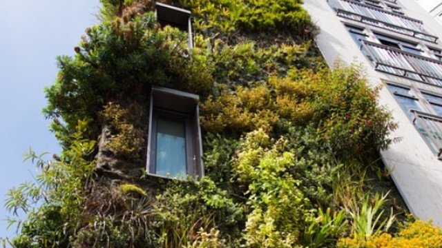 Снимка: Pixabay