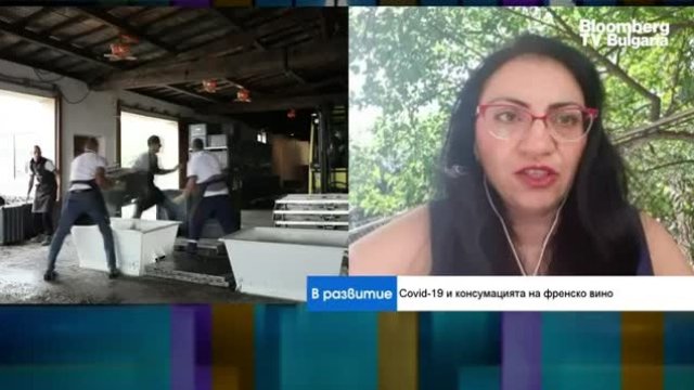 Има ли спад на френските инвестиции в България?