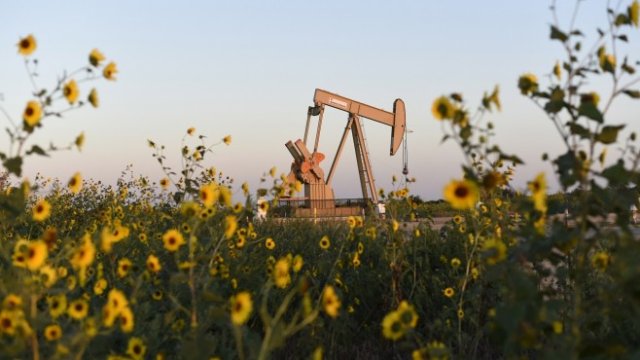 <p>
	<em>Снимка: архив Ройтерс</em></p>
