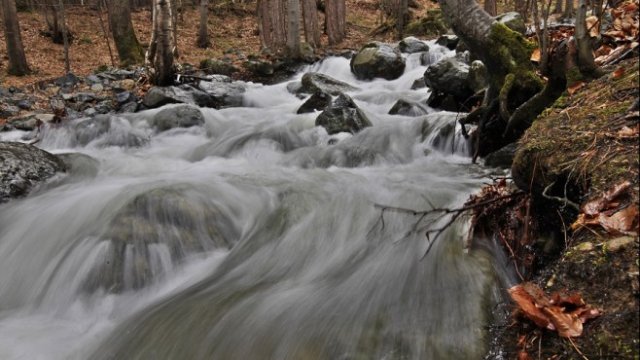 <p>
	<em>Снимка: Олег Попов, Investor Media Group</em></p>
