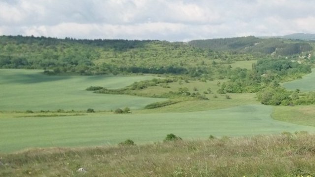 <p>
	<em>Снимка: Pixabay</em></p>
