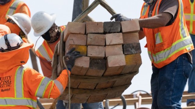 Недостигът увеличава цените на дървесината