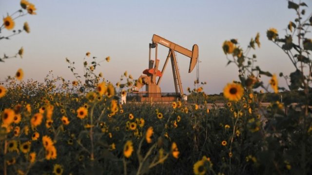 <p>
	<em>Снимка: Архив Ройтерс</em></p>
