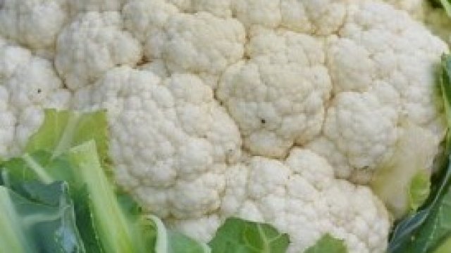 <p>
	<em>Снимка: Pixabay.com</em></p>
