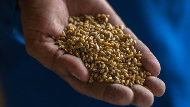 Снимка: Bloomberg LP