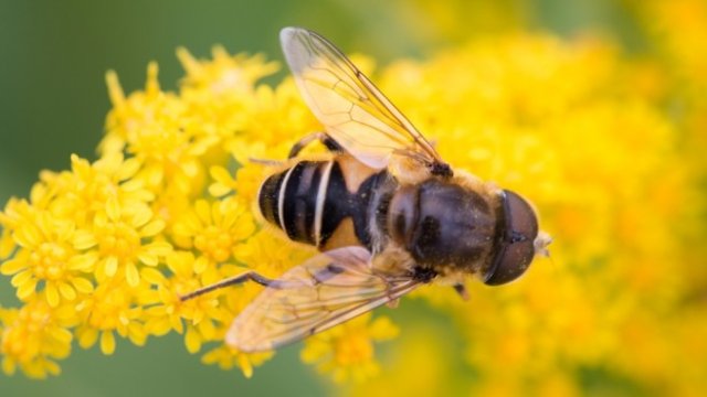 <p>
	<em>Снимка: Pixabay</em></p>
