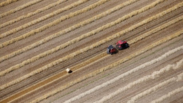 <p>
	<em>Снимка: Архив Ройтерс</em></p>
