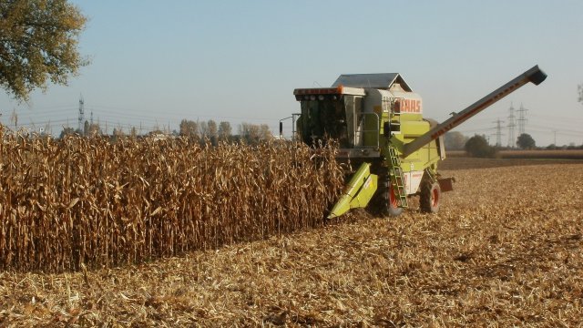 Снимка: Pixabay