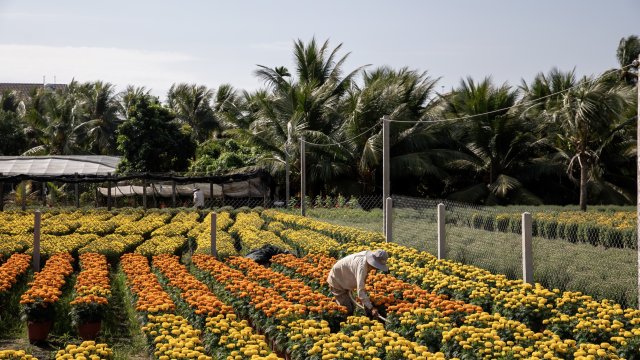 Снимка: Maika Elan/Bloomberg