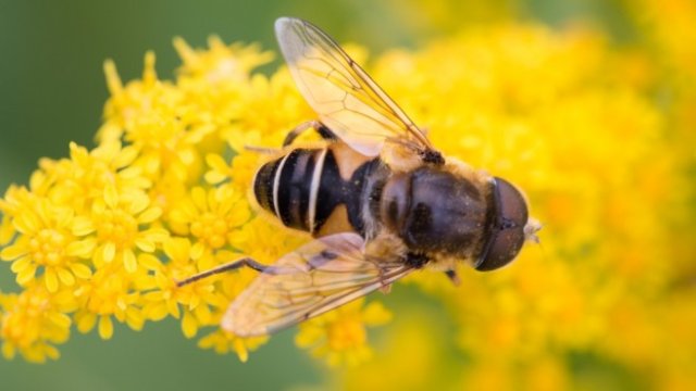 <p>
	<em>Снимка: Pixabay</em></p>
