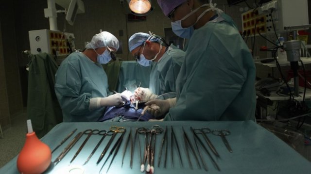 <p>
	<em>Снимка: Архив Ройтерс</em></p>
