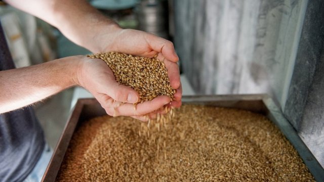 Снимка: Pixabay