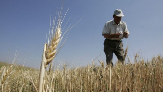 <p>
	<em>Снимка: архив Ройтерс</em></p>
