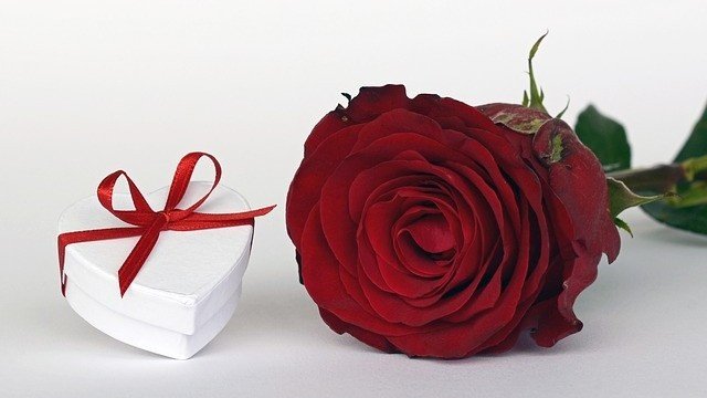 <p>
	<em>Снимка: Pixabay</em></p>
