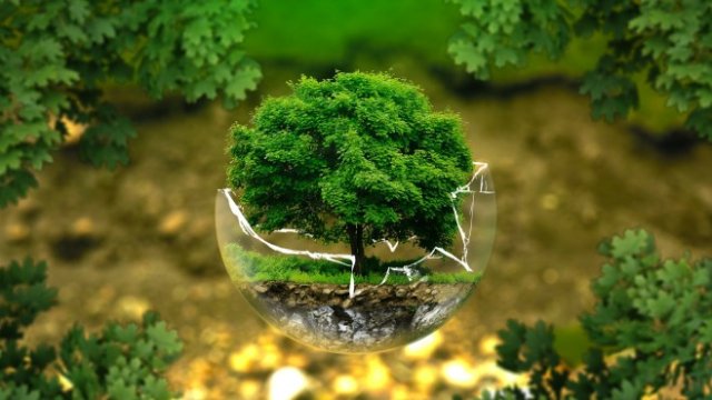 <p>
	<em>Снимка: pixabay.com</em></p>
