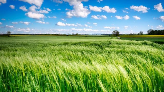 <p>
	<em>Снимка: Pixabay</em></p>
