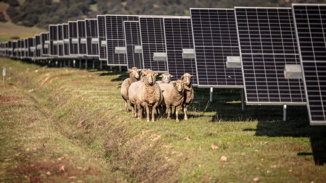 Соларен парк в Испания. Снимка: Angel Garcia/Bloomberg