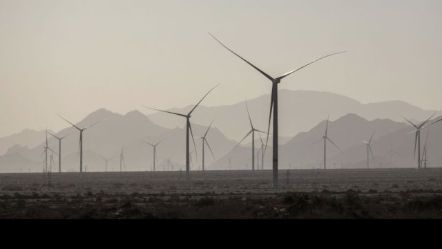 Снимка: Bloomberg LP