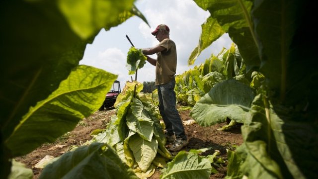 <p>
	<em>Снимка: Bloomberg L.P.</em></p>
