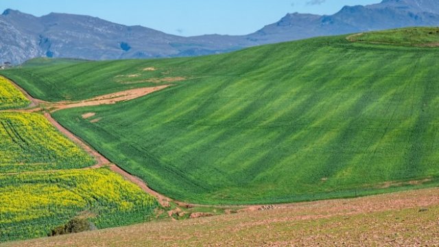 <p>
	<em>Снимка: Pixabay</em></p>
