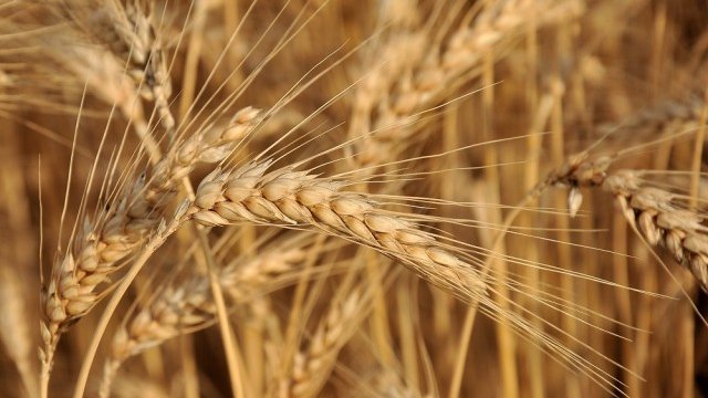 <p>
	<em>Снимка: БТА</em></p>
