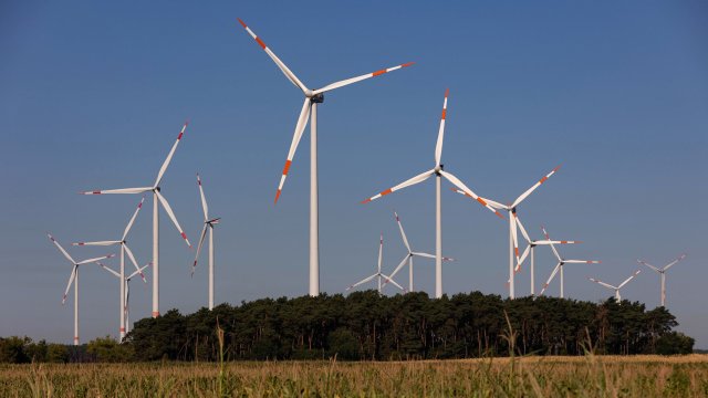 Снимка: Bloomberg