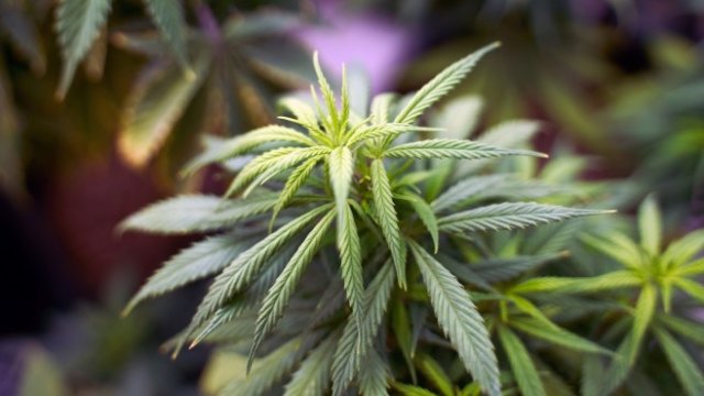 <p>
	<em>Снимка: Bloomberg</em></p>
