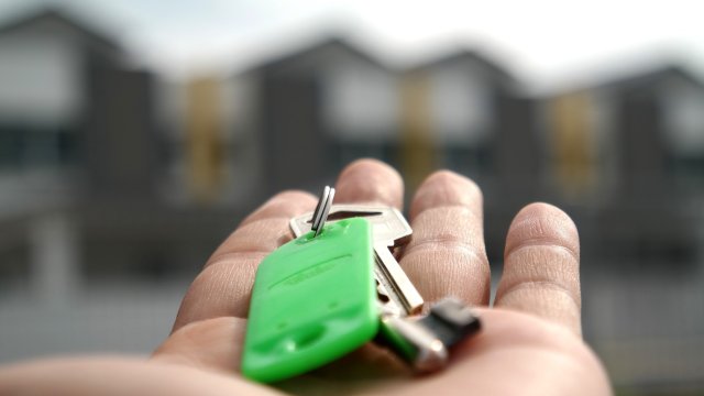 Снимка: Pixabay