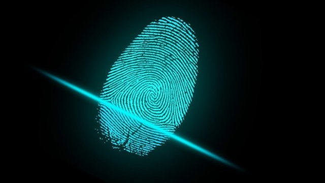 <p>
	<em>Снимка: Pixabay</em></p>
