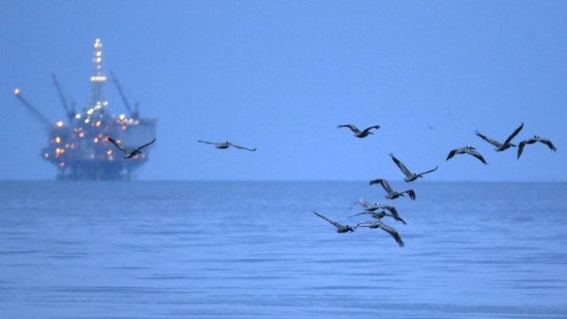 <p>
	<em>Снимка: Архив Ройтерс</em></p>
