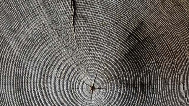 <p>
	<em>Снимка: Pixabay</em></p>
