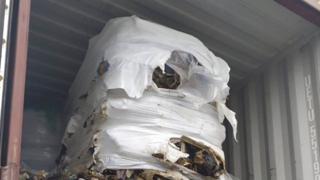 <p>
	<em>Снимка: БГНЕС</em></p>
