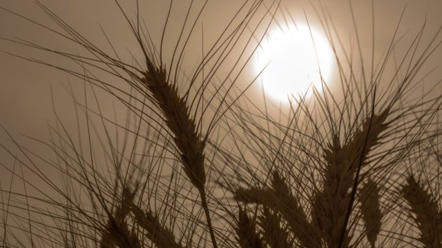 Снимка: Bloomberg LP