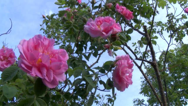 Снимка:БГНЕС/ИВАН ЯНЕВ