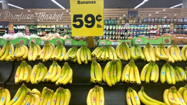 <p>
	<em>Снимка: Bloomberg</em></p>
