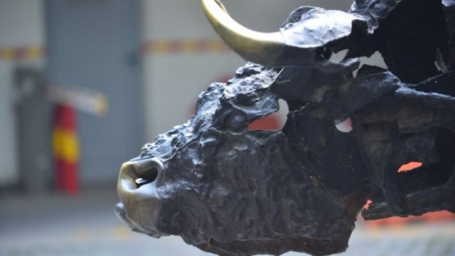 <p>
	<em>Снимка: БФБ</em></p>
