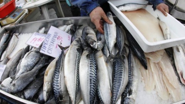 <p>
	<em>Снимка: Олег Попов, Investor Media Group</em></p>
