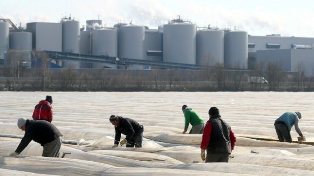 <p>
	<em>Снимка: Архив Ройтерс</em></p>
