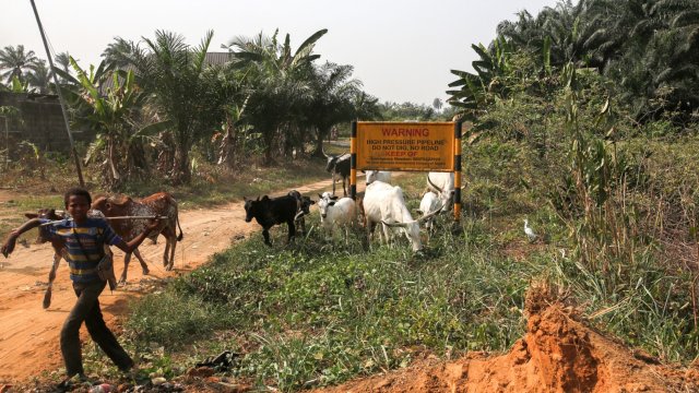 Снимка: Bloomberg